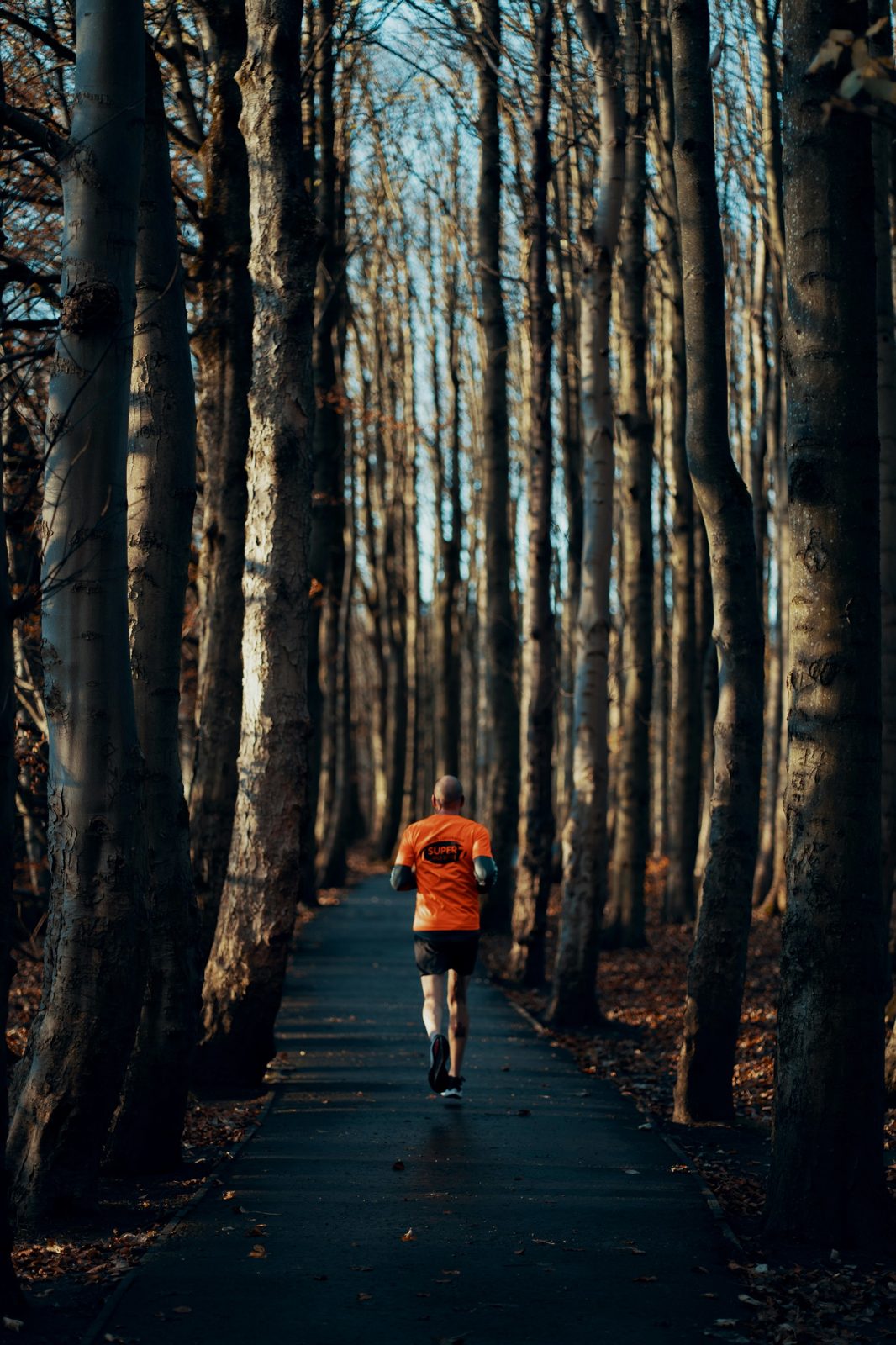 A runner on a quiet, tree-lined path